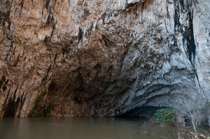 Osapska posast in the Osp cave, Slovenia