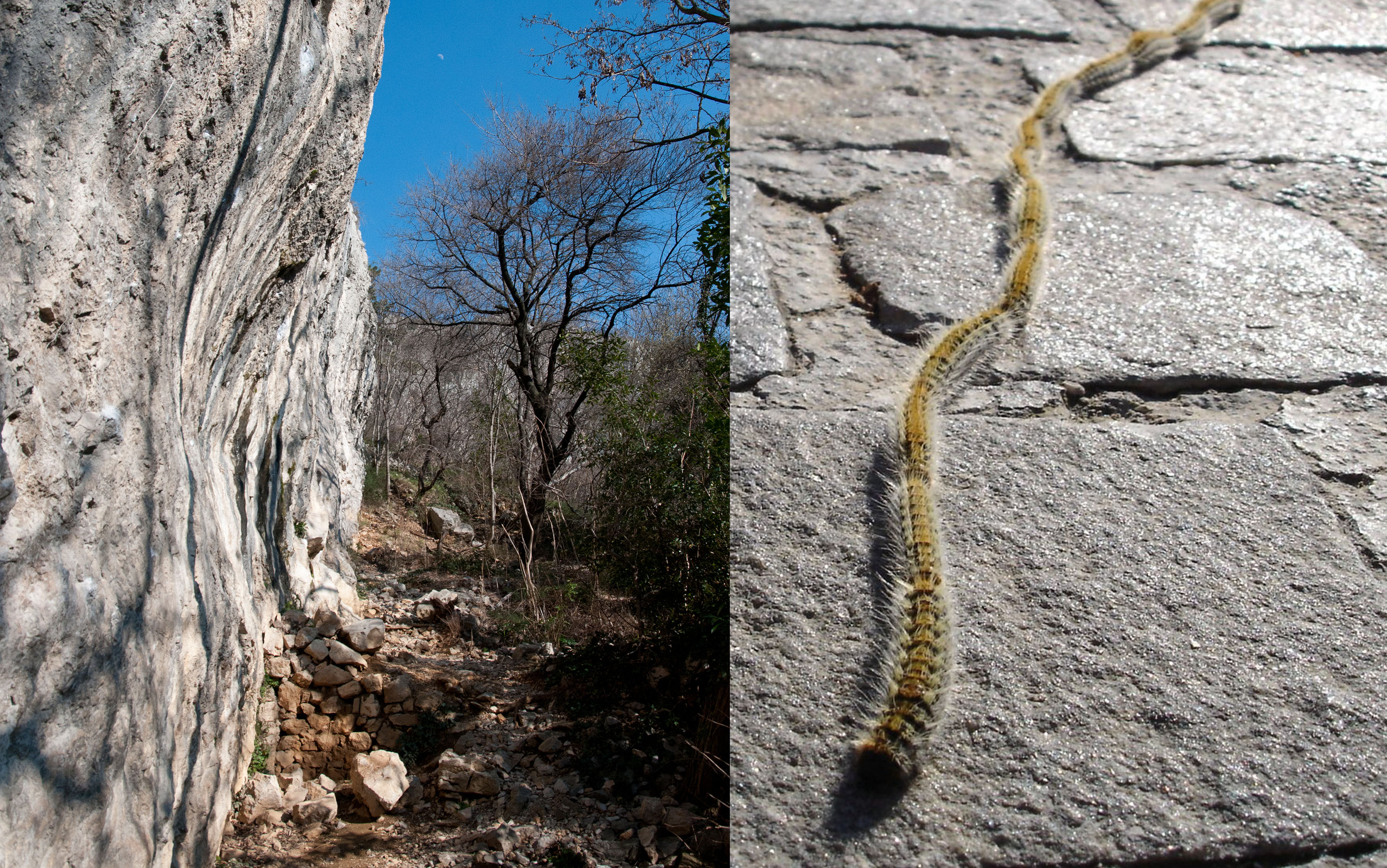 Easter Alarm | Climb Istria