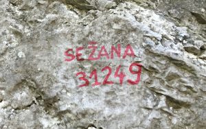 Sežana 31249