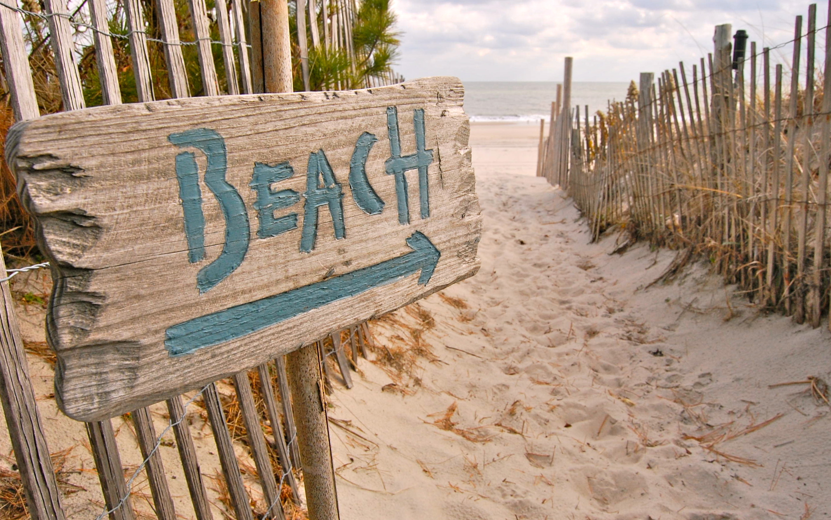 Предложение дня. Вывеска пляж. Пляжная табличка. Табличка Beach. Указатель на пляже.