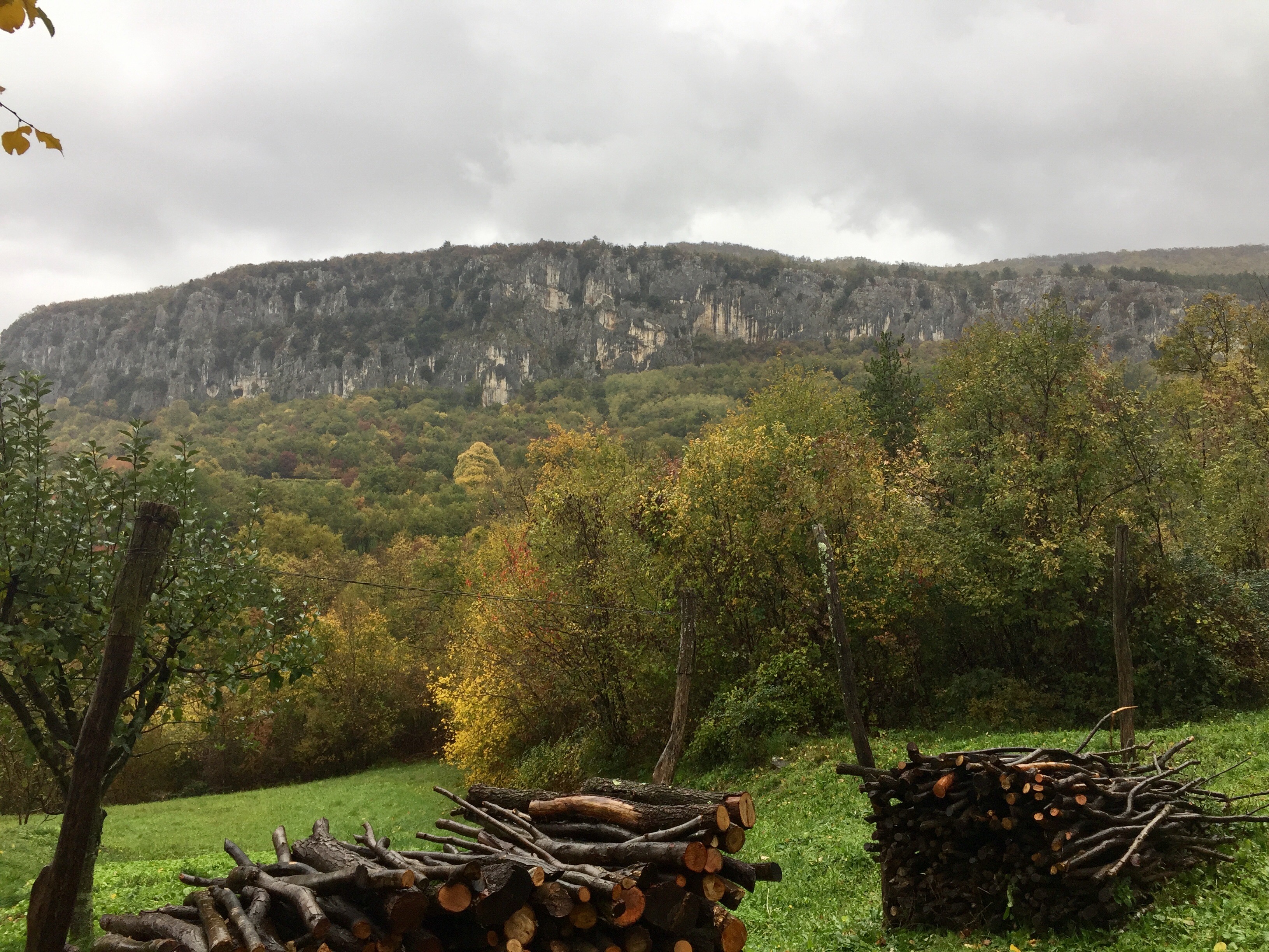 Rainy Kompanj