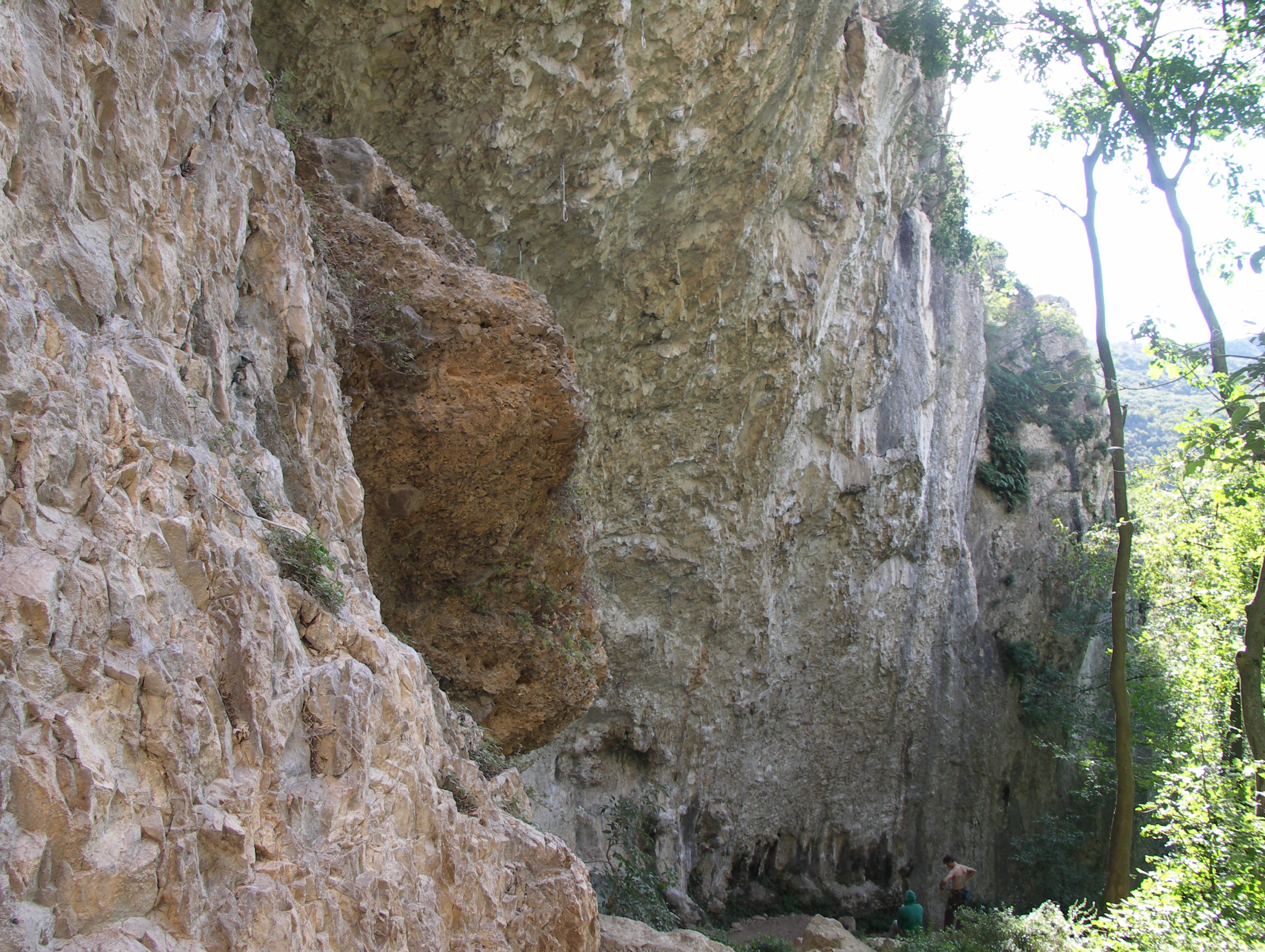 Sector Freezer aka Hladilnik on Mišja peč