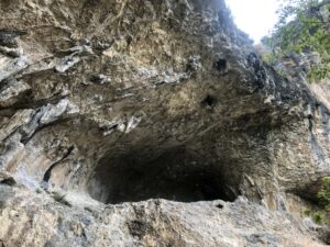 Tedi's cave