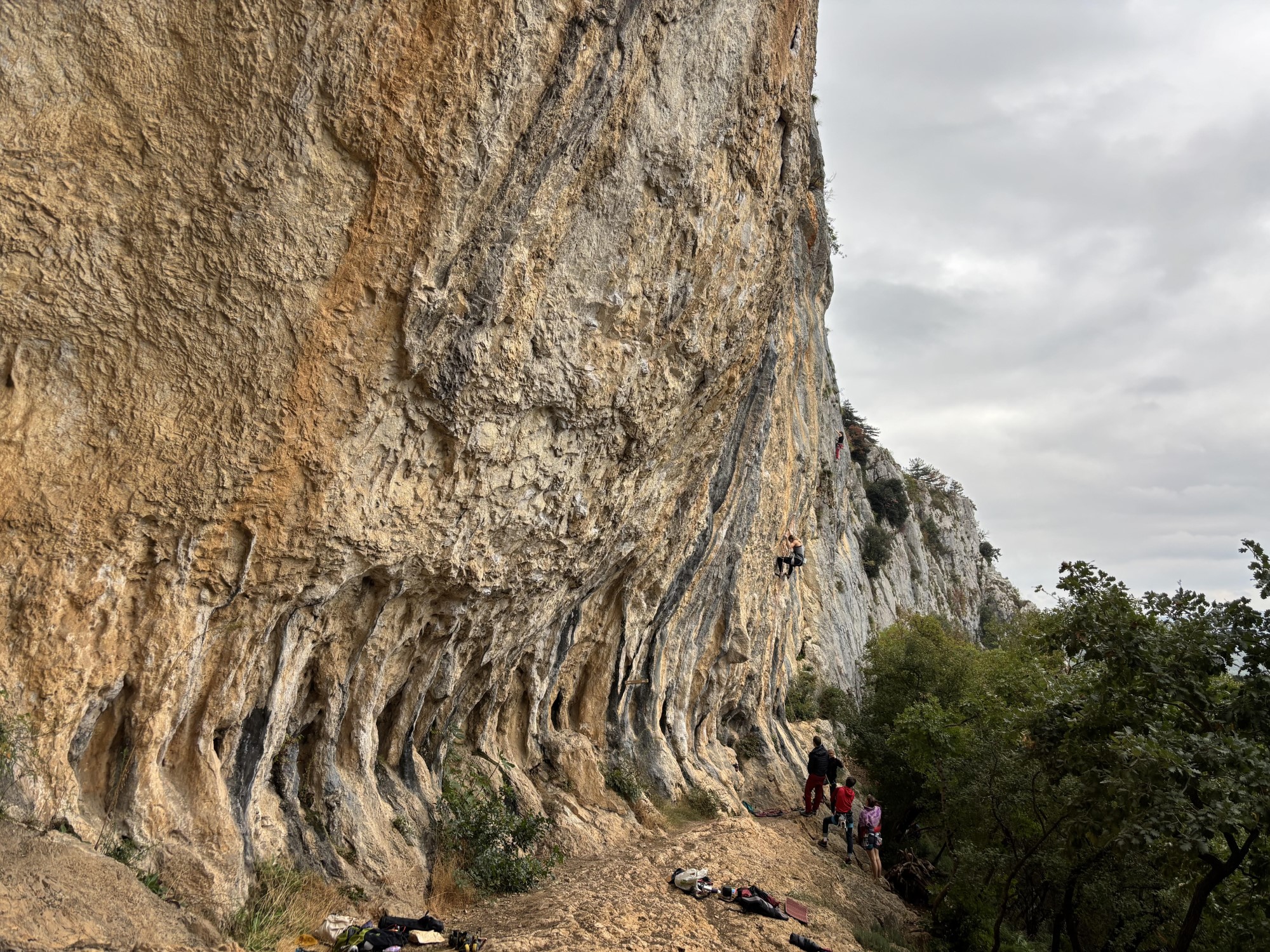 Kompanj @photo by Ivana Staraj